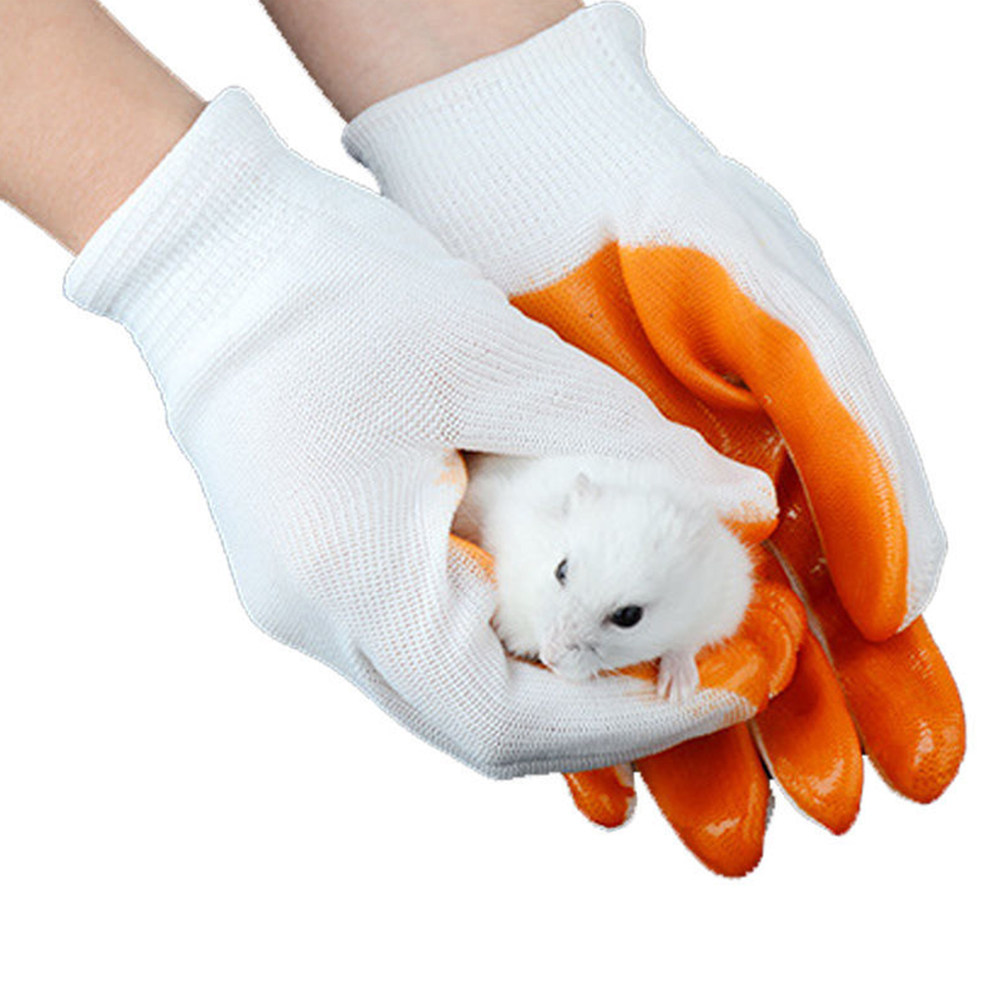 زوج واحد من قفازات حماية الحيو - مراجعة Cut Resistant Glove وسعره